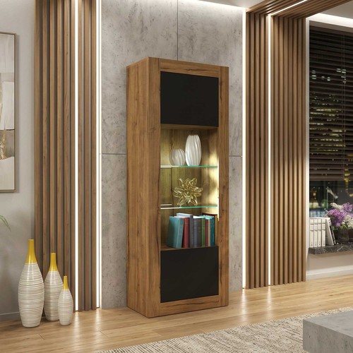 Display cabinet bookcase - cabinet,
